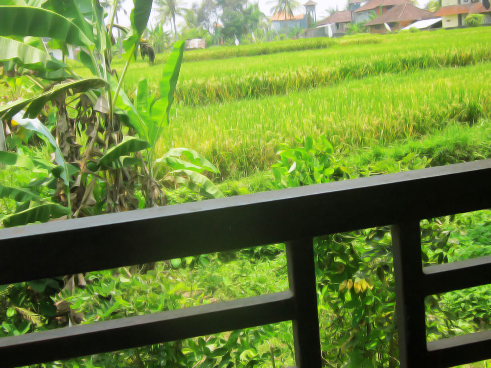 Oyo 1946 Terrace Campuhan Ubud Exterior foto