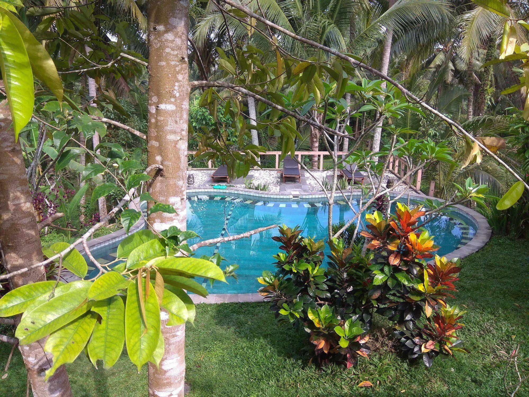 Oyo 1946 Terrace Campuhan Ubud Exterior foto